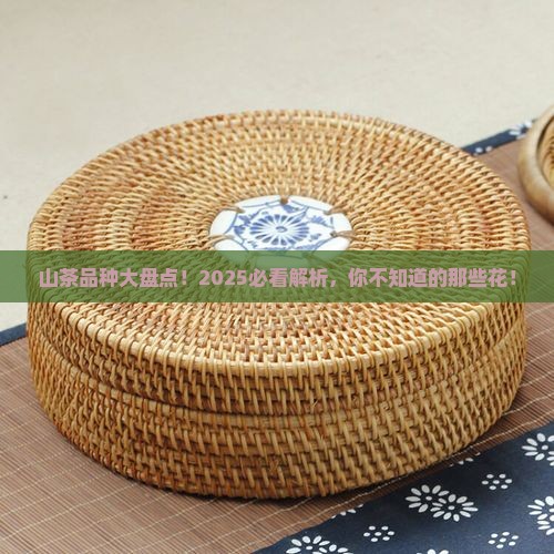 山茶有多少品种