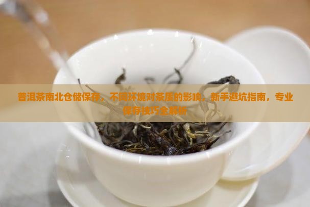 普洱茶南北仓储保存