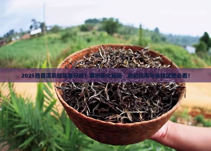 熟普洱茶是越陈越好吗