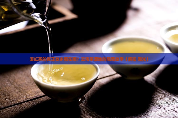 滇红茶的诞生地