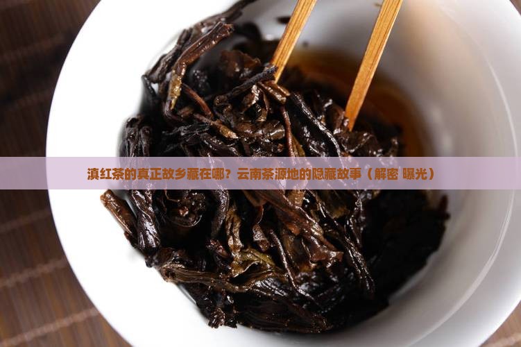 滇红茶的诞生地
