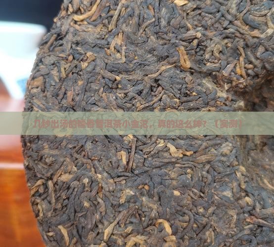 糯香普洱茶小金沱几秒出汤