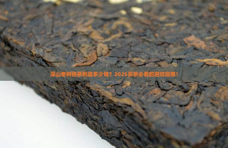 普洱茶深山老树熟茶价钱