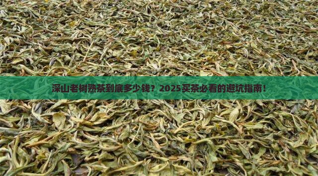 普洱茶深山老树熟茶价钱