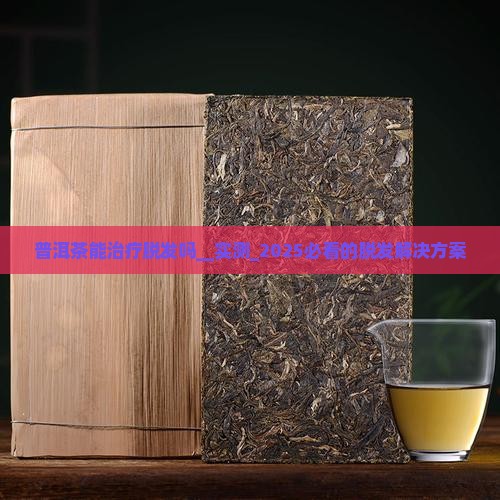 普洱茶能治疗脱发吗