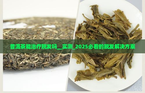 普洱茶能治疗脱发吗