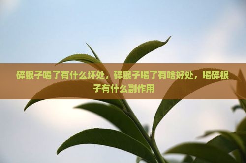 碎银子喝了有什么坏处
