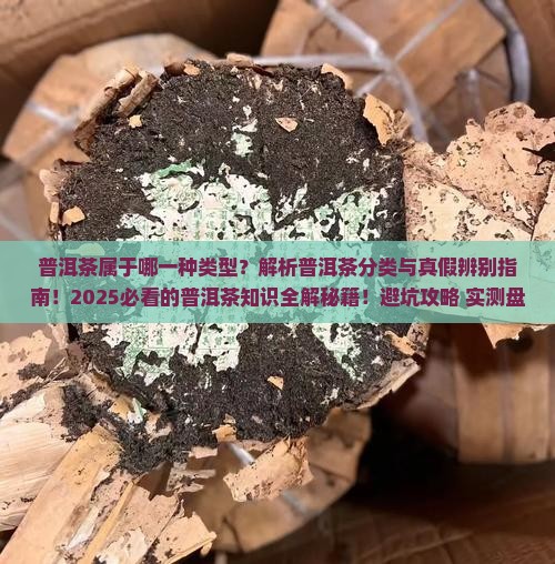普洱茶属于哪一种类型