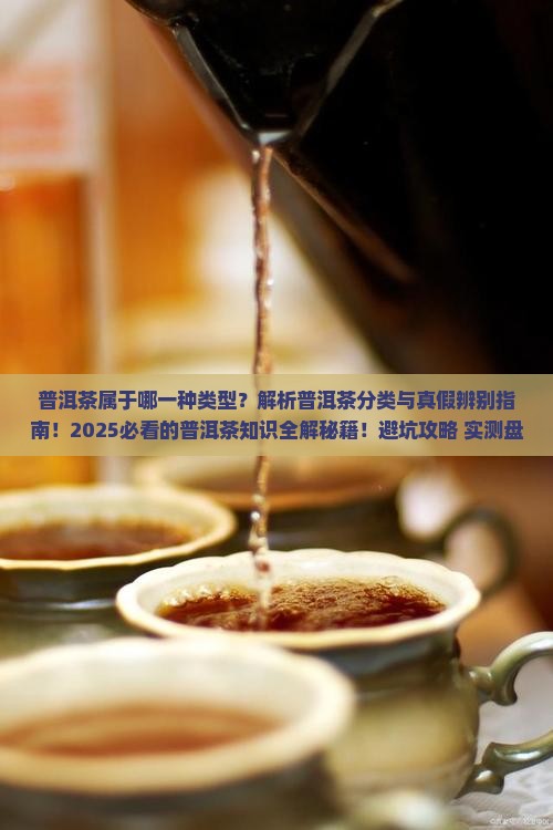 普洱茶属于哪一种类型
