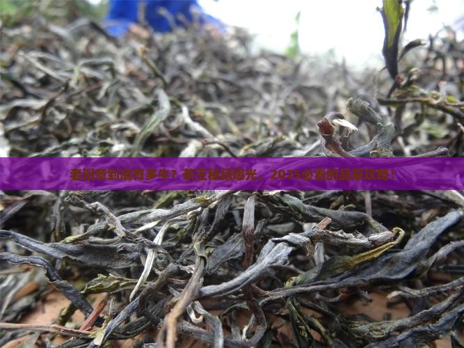 至尊茶王老班章