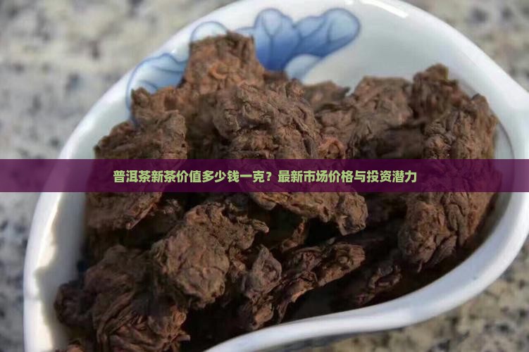 普洱茶新茶价值多少钱一克