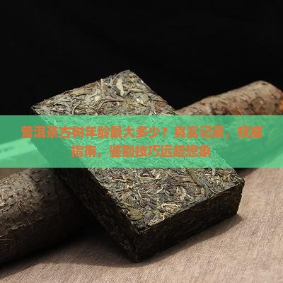 普洱茶古树年龄最大多少