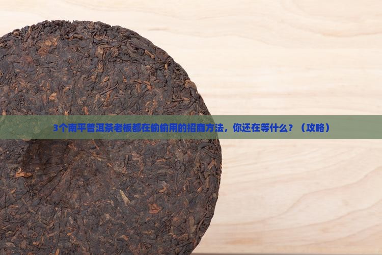 南平普洱茶品牌招商