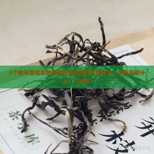 南平普洱茶品牌招商