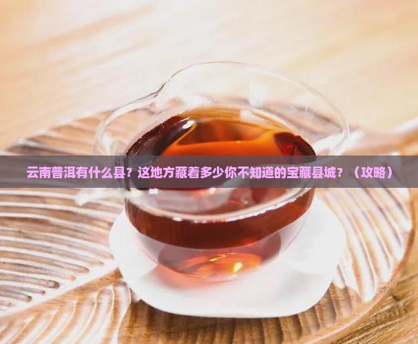 云南普洱有什么县