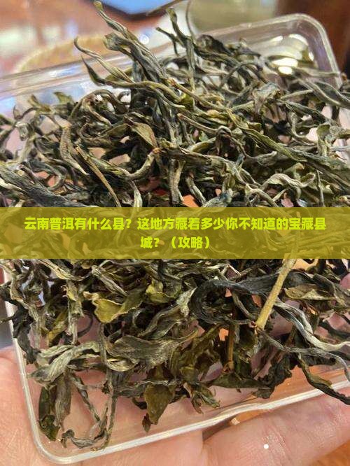 云南普洱有什么县