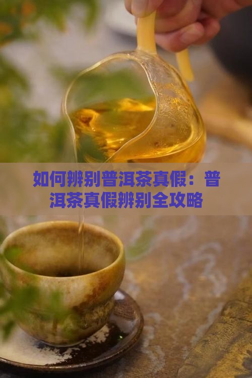 普洱茶真假辨别怎样区分普洱茶