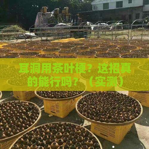 耳洞用茶叶梗怎么弄