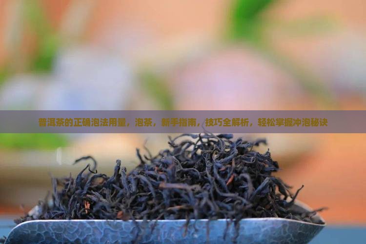 普洱茶的正确泡法用量