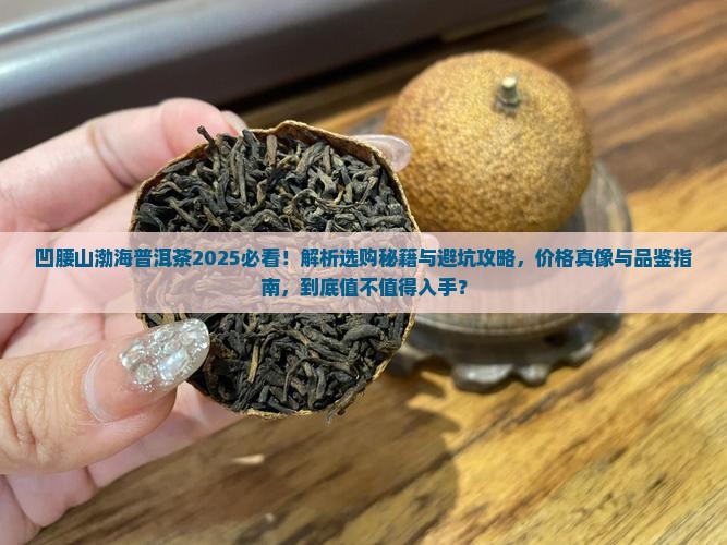 凹腰山渤海普洱茶