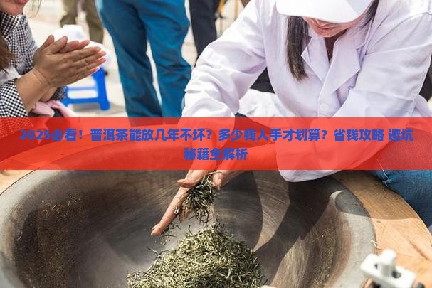 普洱茶能保留几年吗多少钱