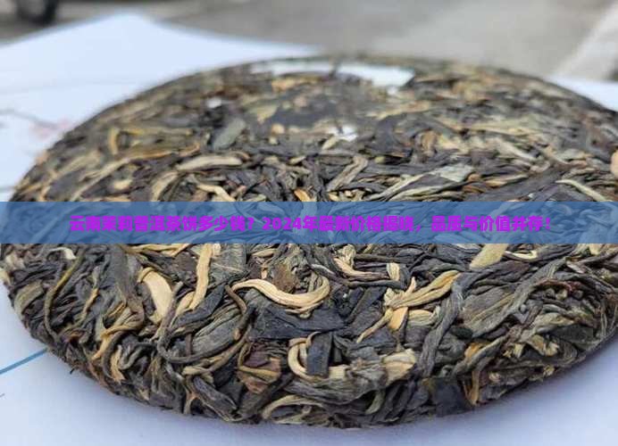 云南茉莉普洱茶饼多少钱