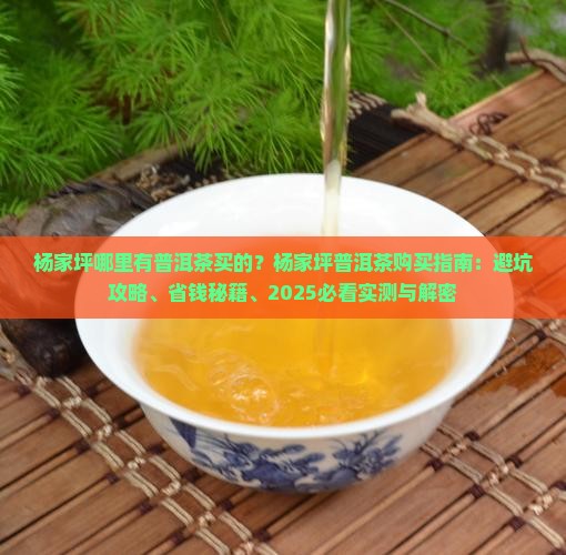 杨家坪哪里有普洱茶买的