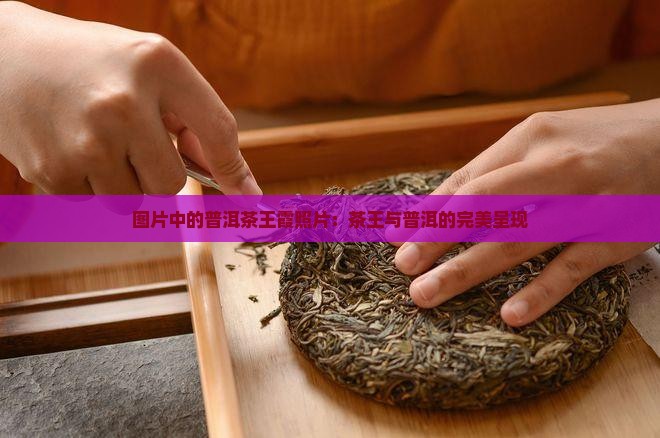 普洱茶王霞照片