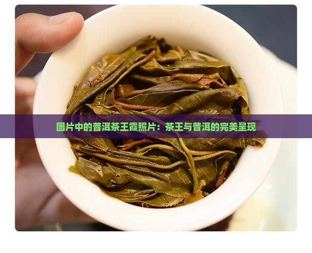 普洱茶王霞照片