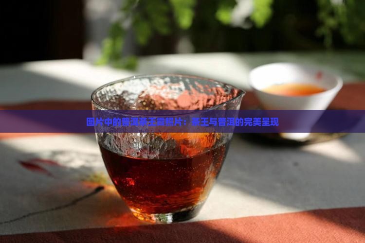 普洱茶王霞照片