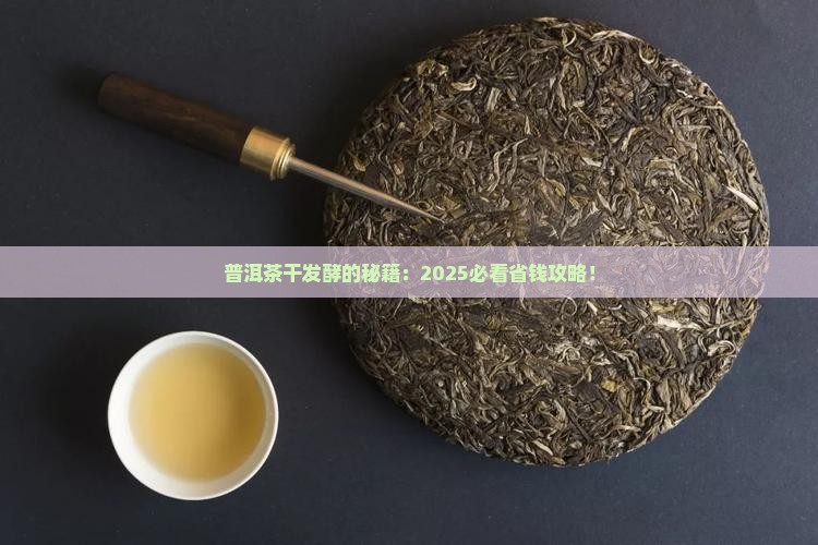 普洱茶是干发酵