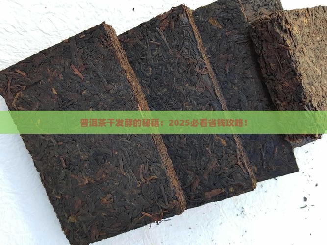 普洱茶是干发酵
