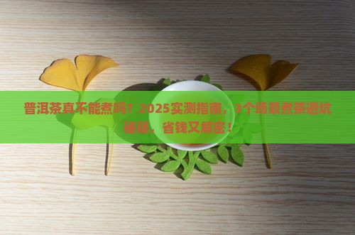 普洱茶不宜煮吗