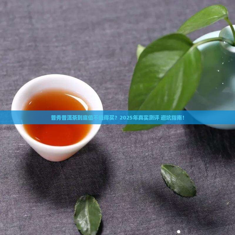 普秀普洱茶怎么样 普秀普洱茶怎么样