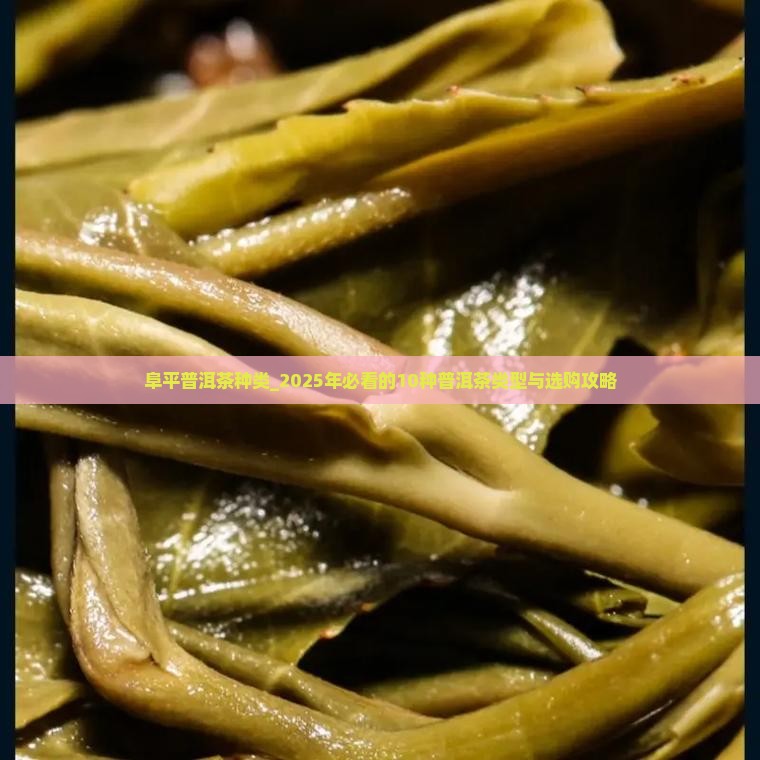 阜平普洱茶种类