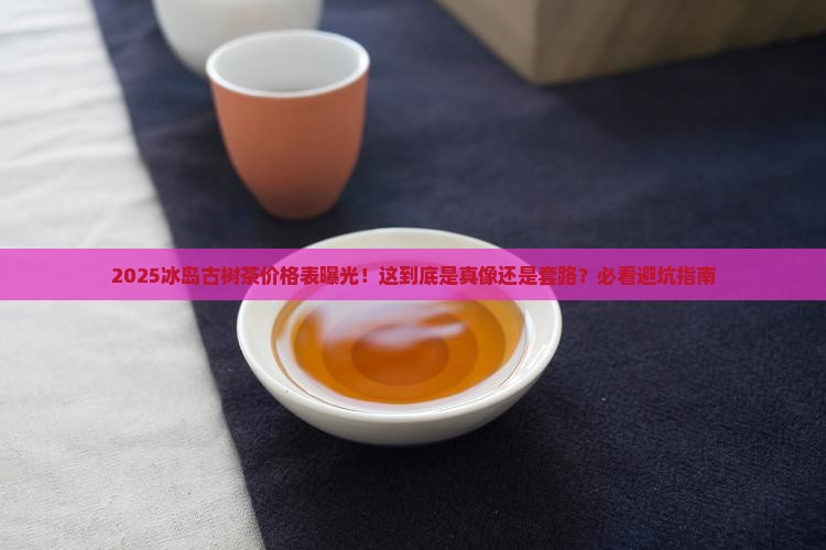 2021冰岛古树茶价格表