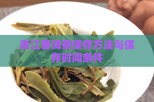 浙江普洱茶保存