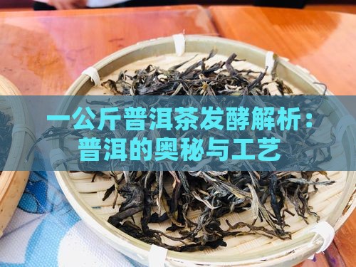 一公斤普洱茶发酵