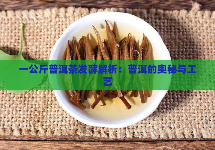 一公斤普洱茶发酵