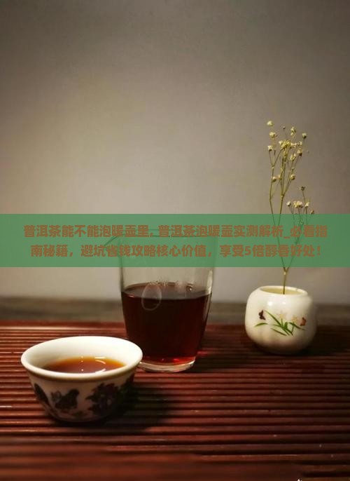 普洱茶能不能泡暖壶里