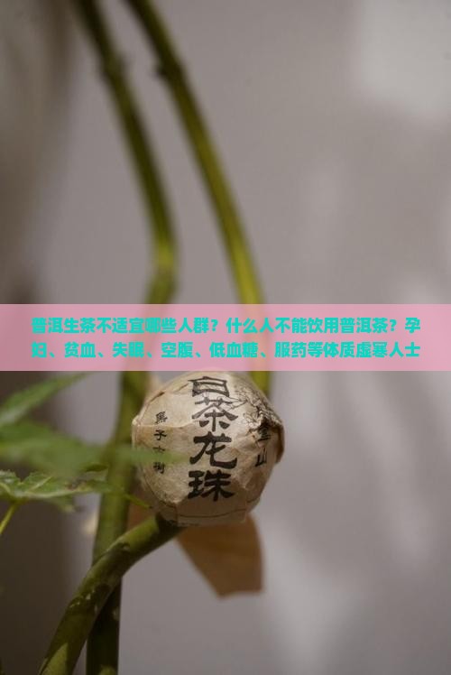 普洱生茶不适宜人群