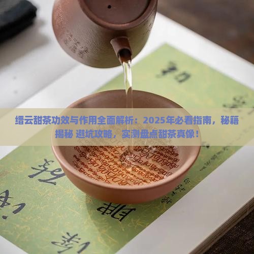 缙云甜茶的功效与作用