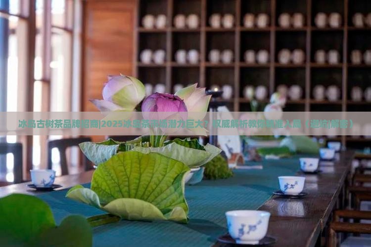 冰岛古树茶品牌招商
