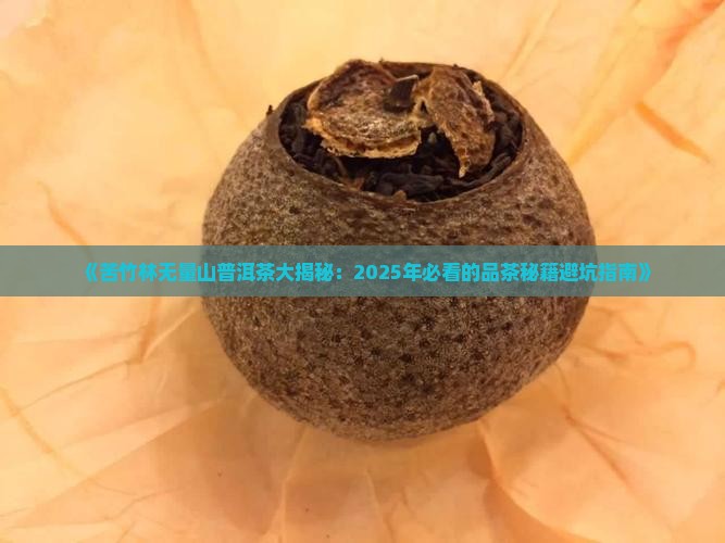 苦竹林无量山普洱茶