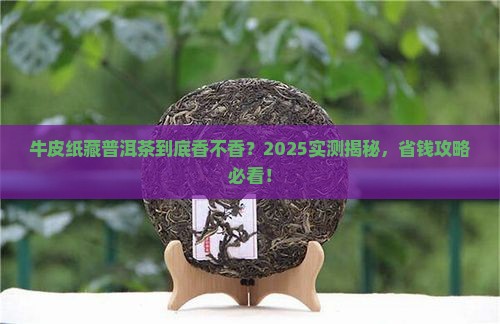 牛皮纸藏普洱茶好不好喝