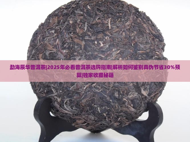 勐海辰华普洱茶