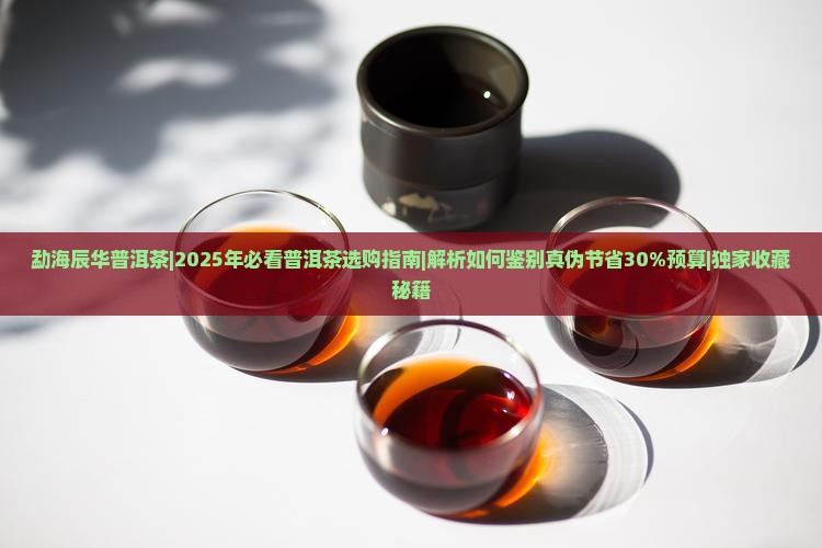 勐海辰华普洱茶