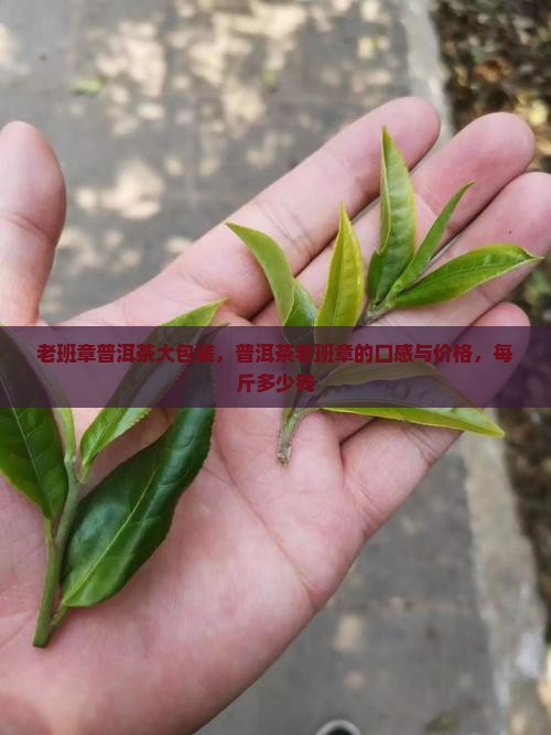 老班章普洱茶大包