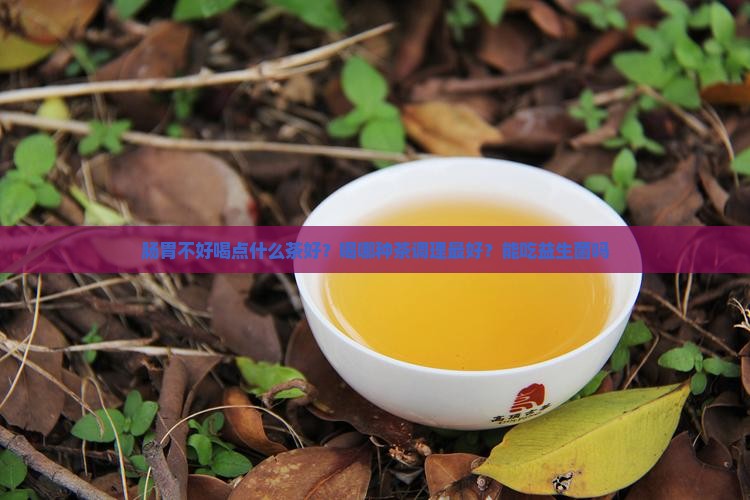 肠胃不好喝点什么茶