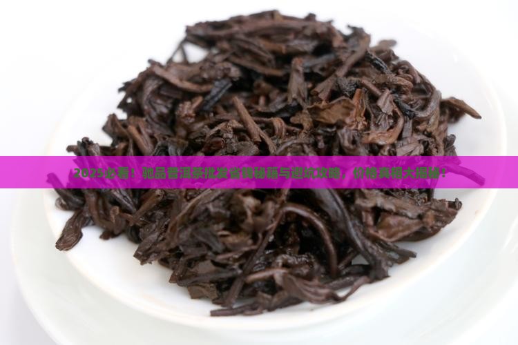 驰品普洱茶批发